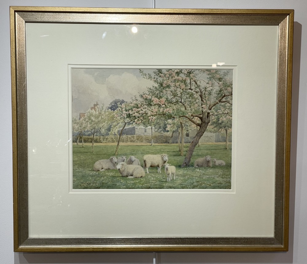 William Sidney Cooper (1854-1927) watercolour, sheep