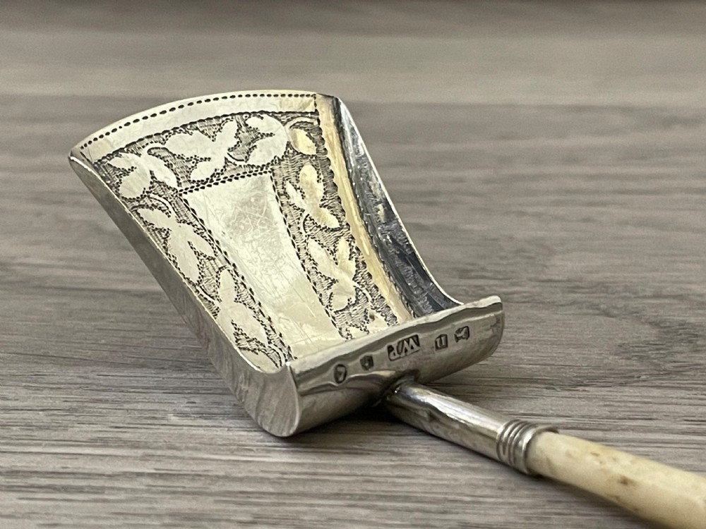 George III Silver Caddy Spoon by William Pugh View III