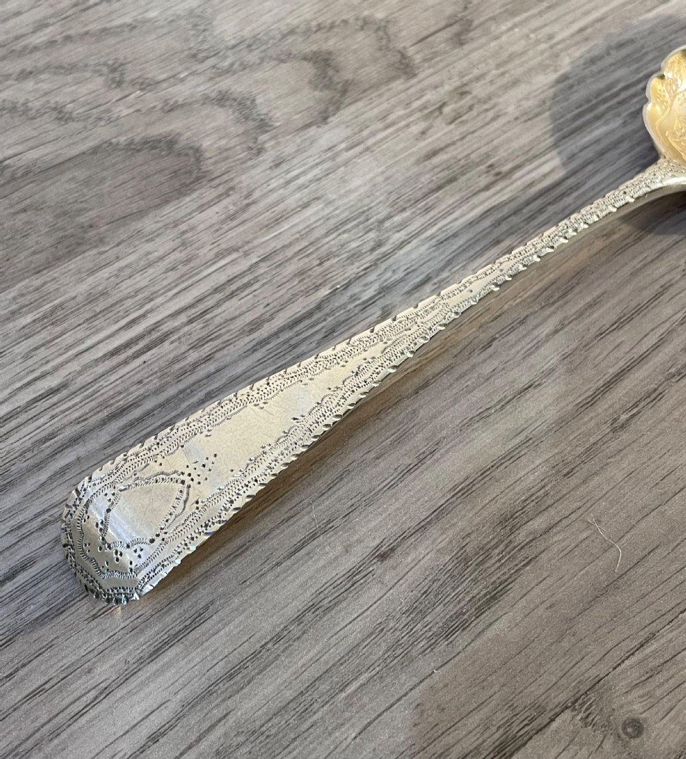 Pretty George III Silver Berry Spoon, Exeter 1816 View IV