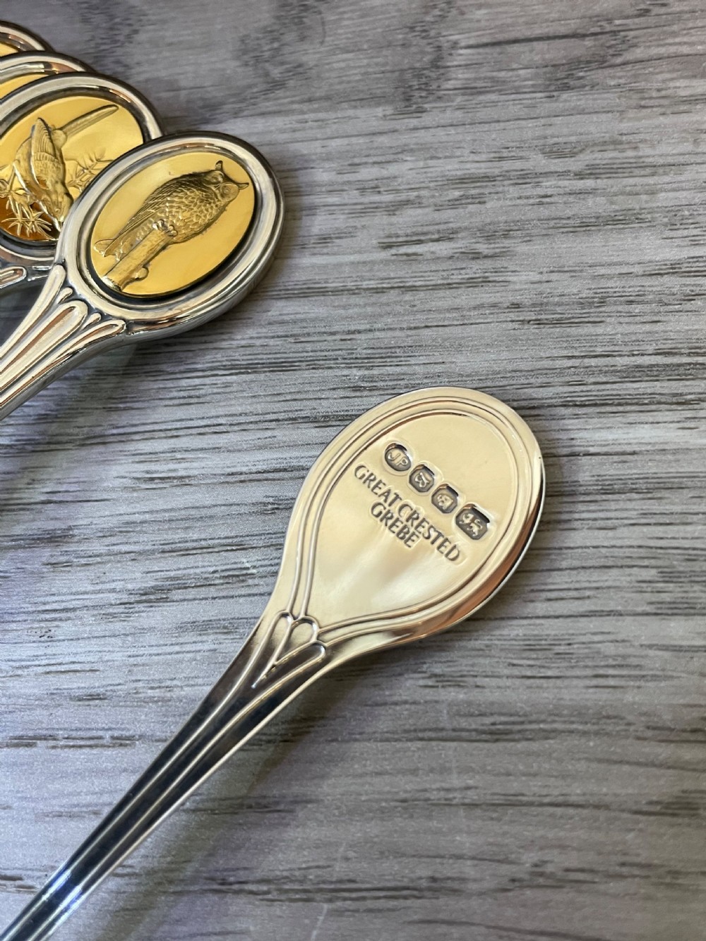 RSPB Solid Silver Spoon Collection In Fitted Case View VIII