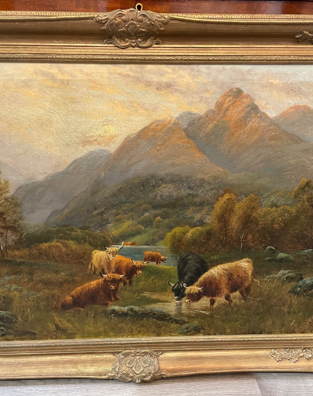 Highland Cattle Painting by Daniel Sherrin View VII