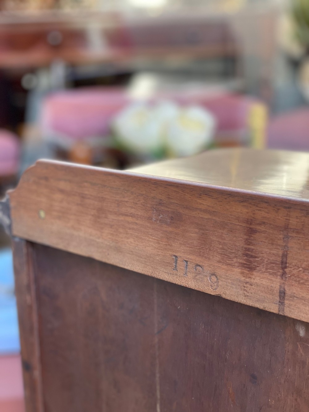 Victorian Burr Walnut Bedside Cabinet View IV