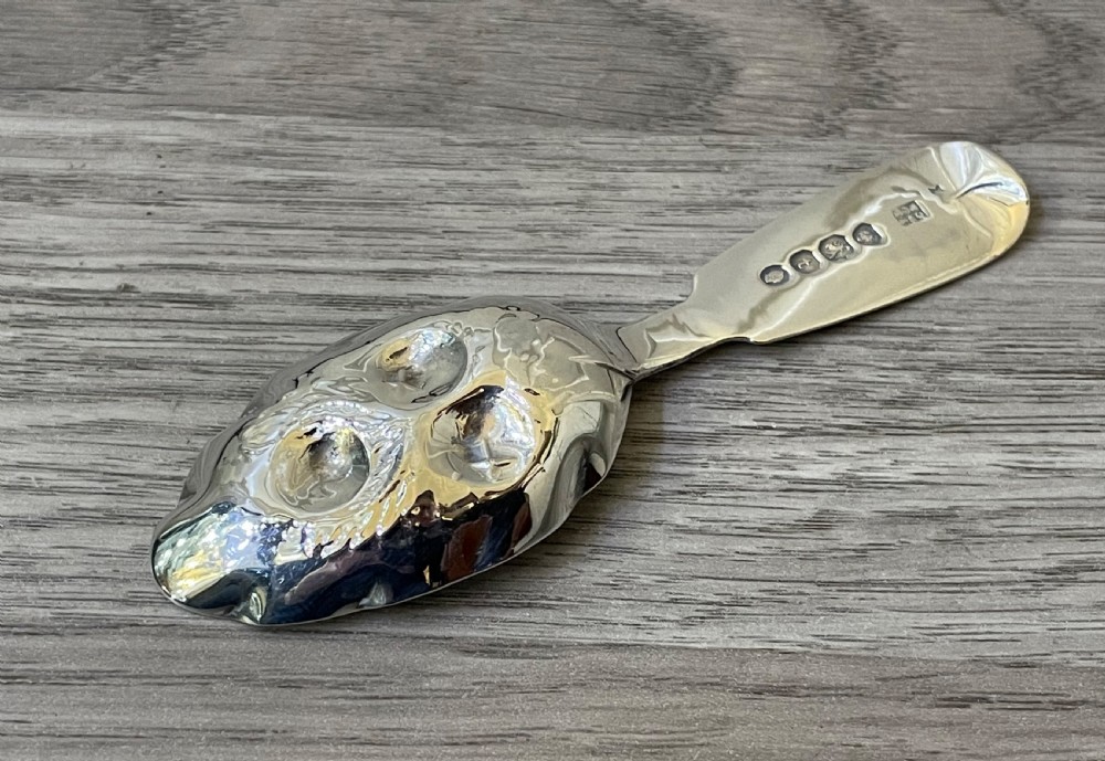 William IV Silver Caddy Spoon View III