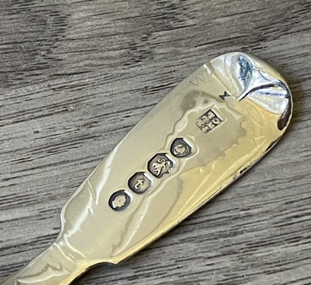 William IV Silver Caddy Spoon View IV