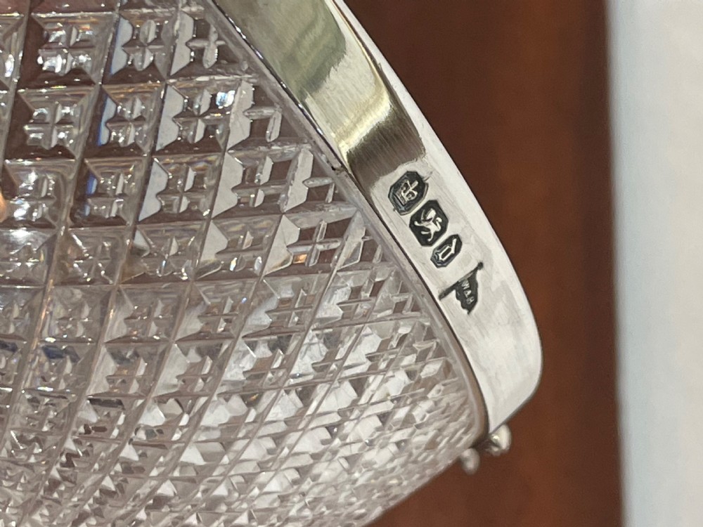 Quality Victorian Silver Mounted Bowl, 1896 View V