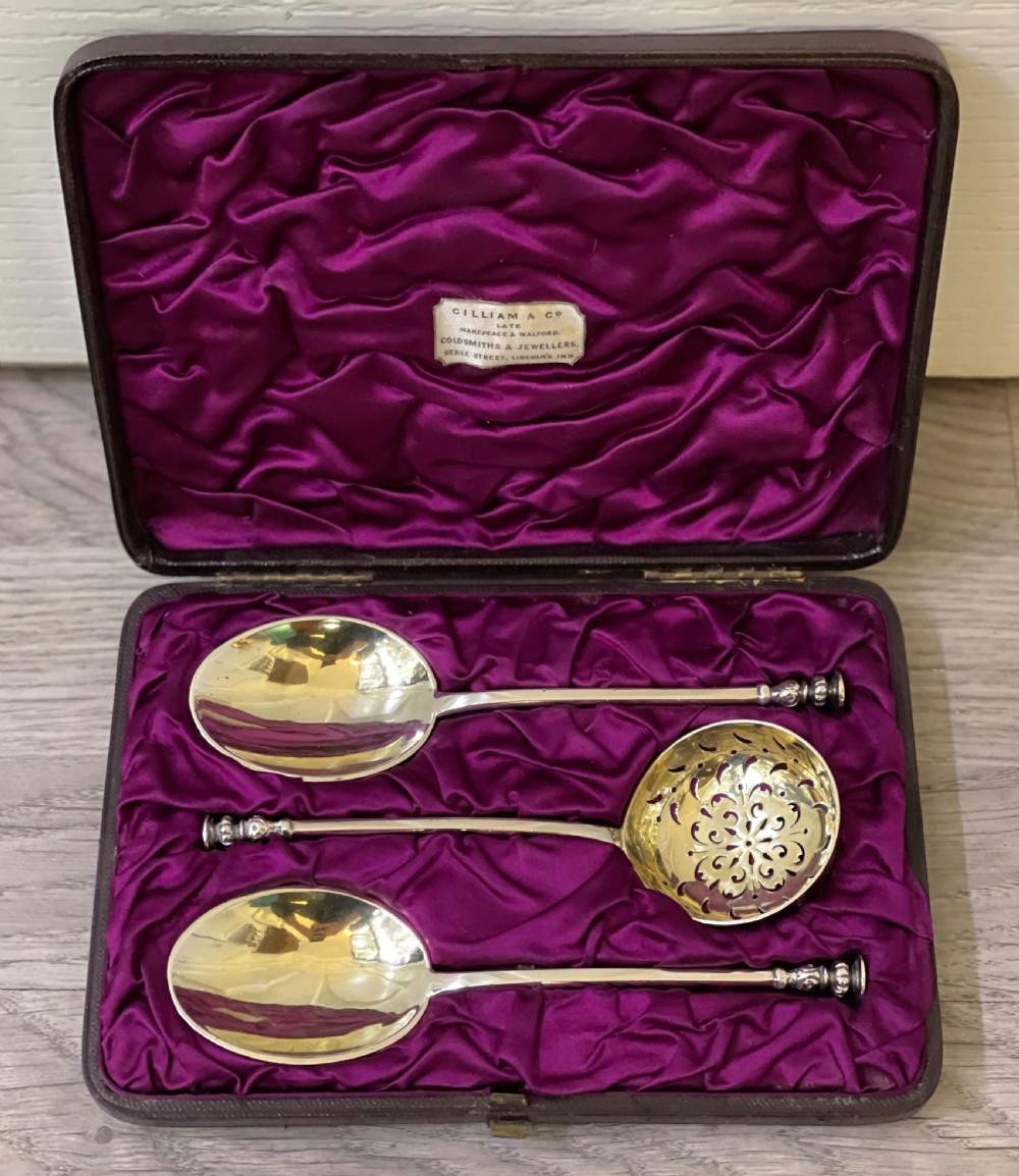 Victorian Silver Fruit Serving Spoon Set, 1881