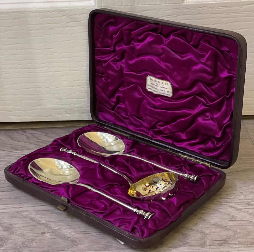 Victorian Silver Fruit Serving Spoon Set, 1881 View II