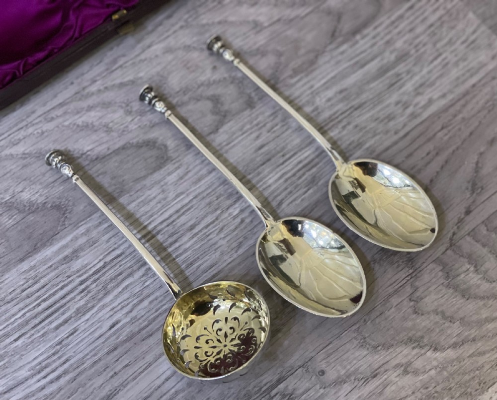 Victorian Silver Fruit Serving Spoon Set, 1881 View V