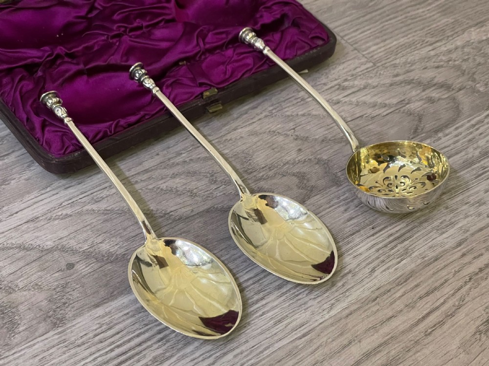 Victorian Silver Fruit Serving Spoon Set, 1881 View VI