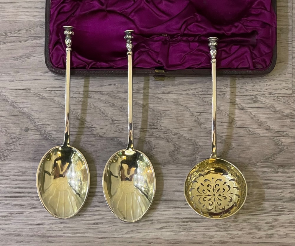 Victorian Silver Fruit Serving Spoon Set, 1881 View VII