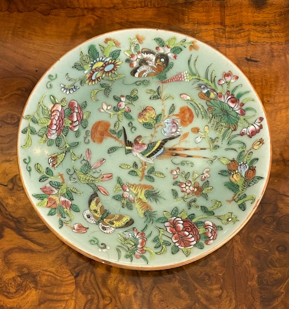 19th Century Famille Rose Celadon Porcelain Plate View IV