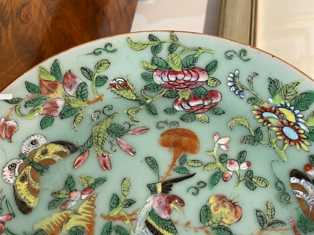 19th Century Famille Rose Celadon Porcelain Plate View V