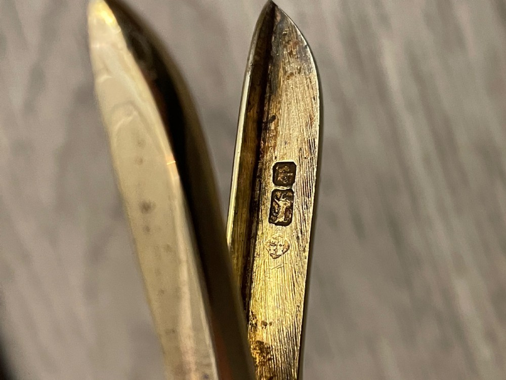 Stunning Pair of Victorian Silver Gilt Grape Scissors, 1883 View VII