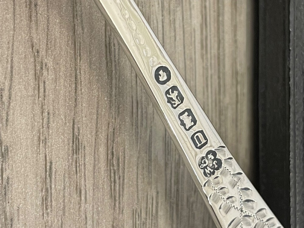 Victorian Silver Christening Spoon, Exeter View II