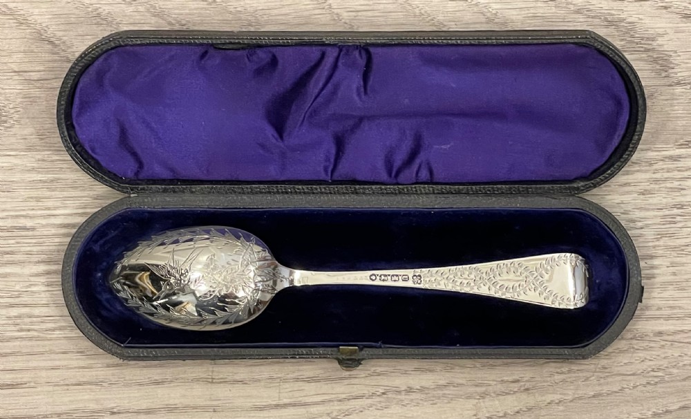 Victorian Silver Christening Spoon, Exeter View VI