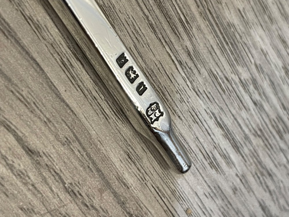 George V Solid Silver Presentation Rowing Oar View VI