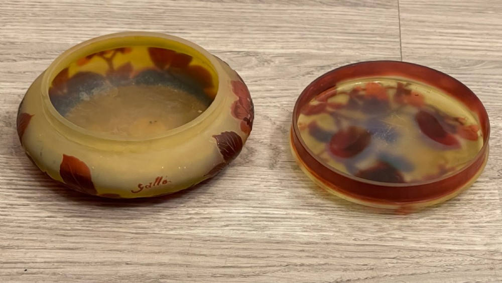 Emile Galle Cameo Glass Box View III
