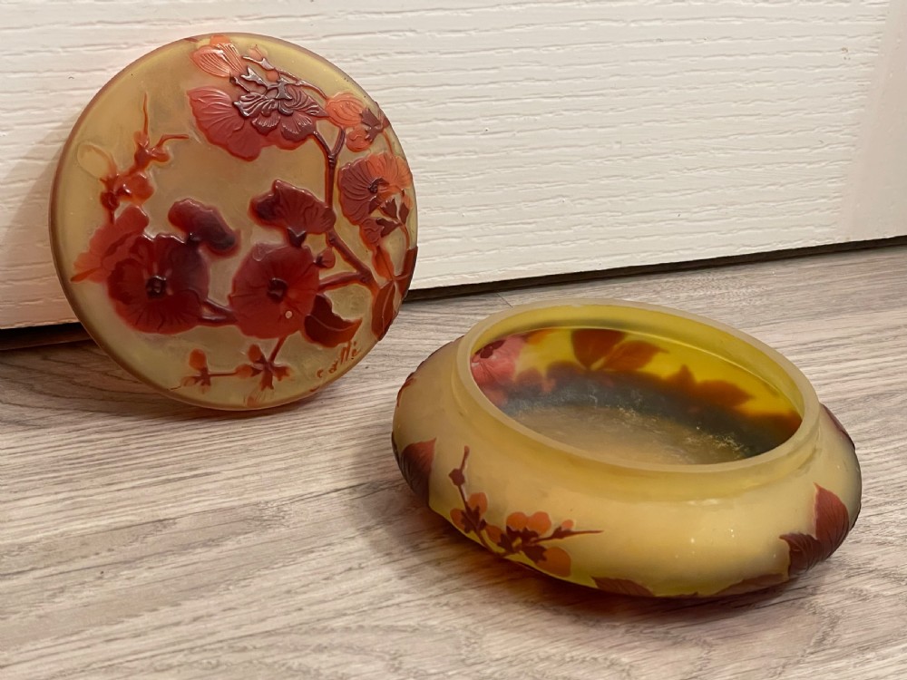 Emile Galle Cameo Glass Box View V
