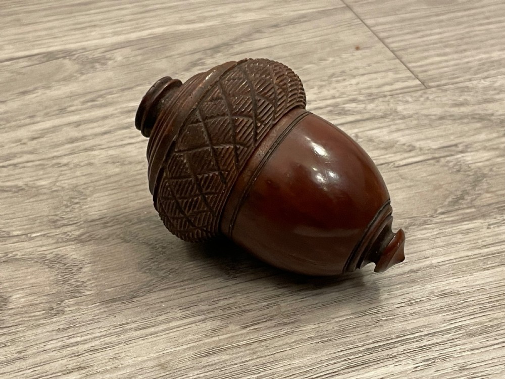 Georgian Coquilla Nutmeg Grater