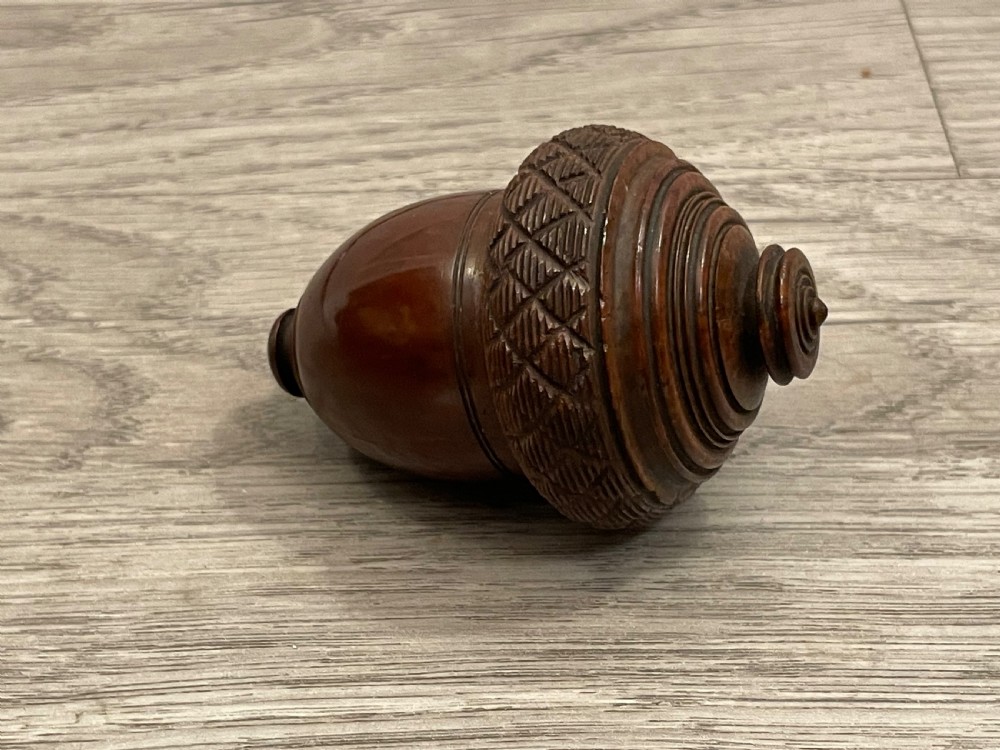 Georgian Coquilla Nutmeg Grater View II