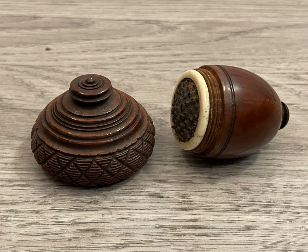 Georgian Coquilla Nutmeg Grater View III