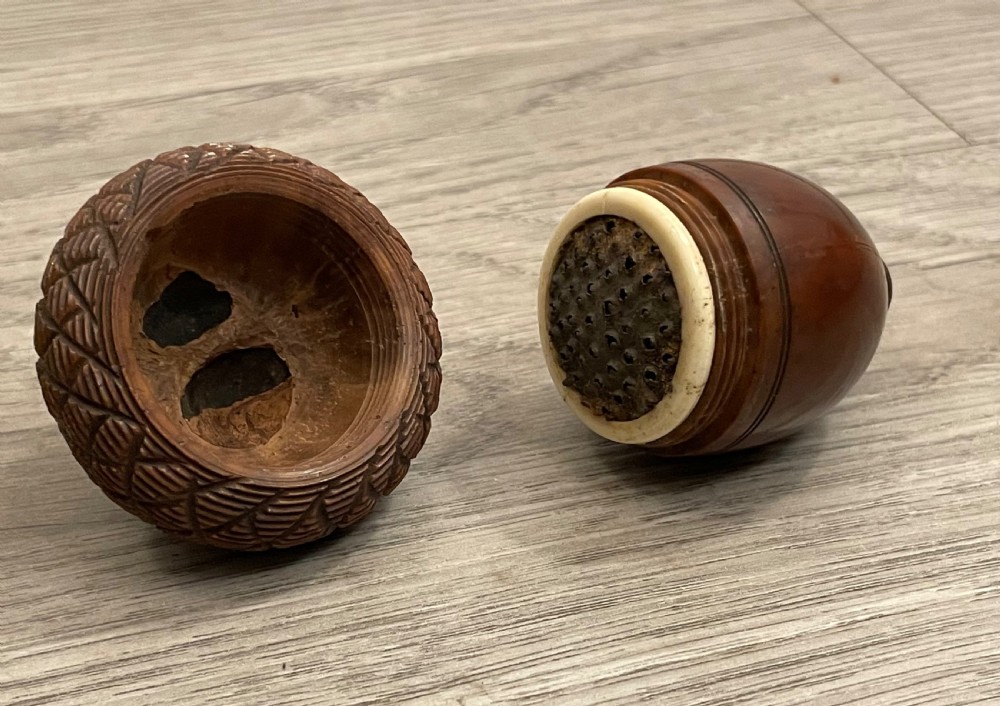 Georgian Coquilla Nutmeg Grater View VII