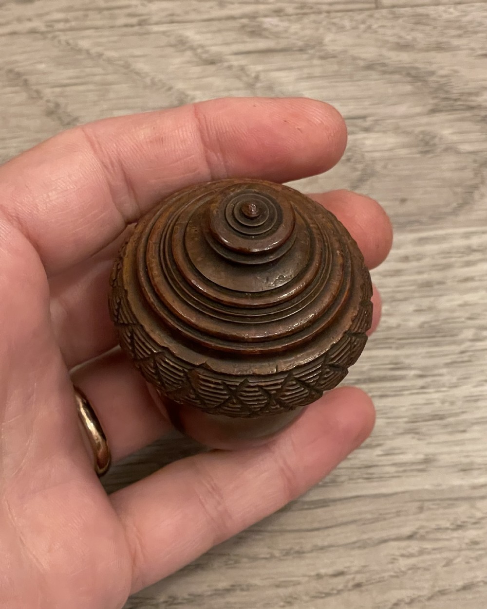 Georgian Coquilla Nutmeg Grater View VIII