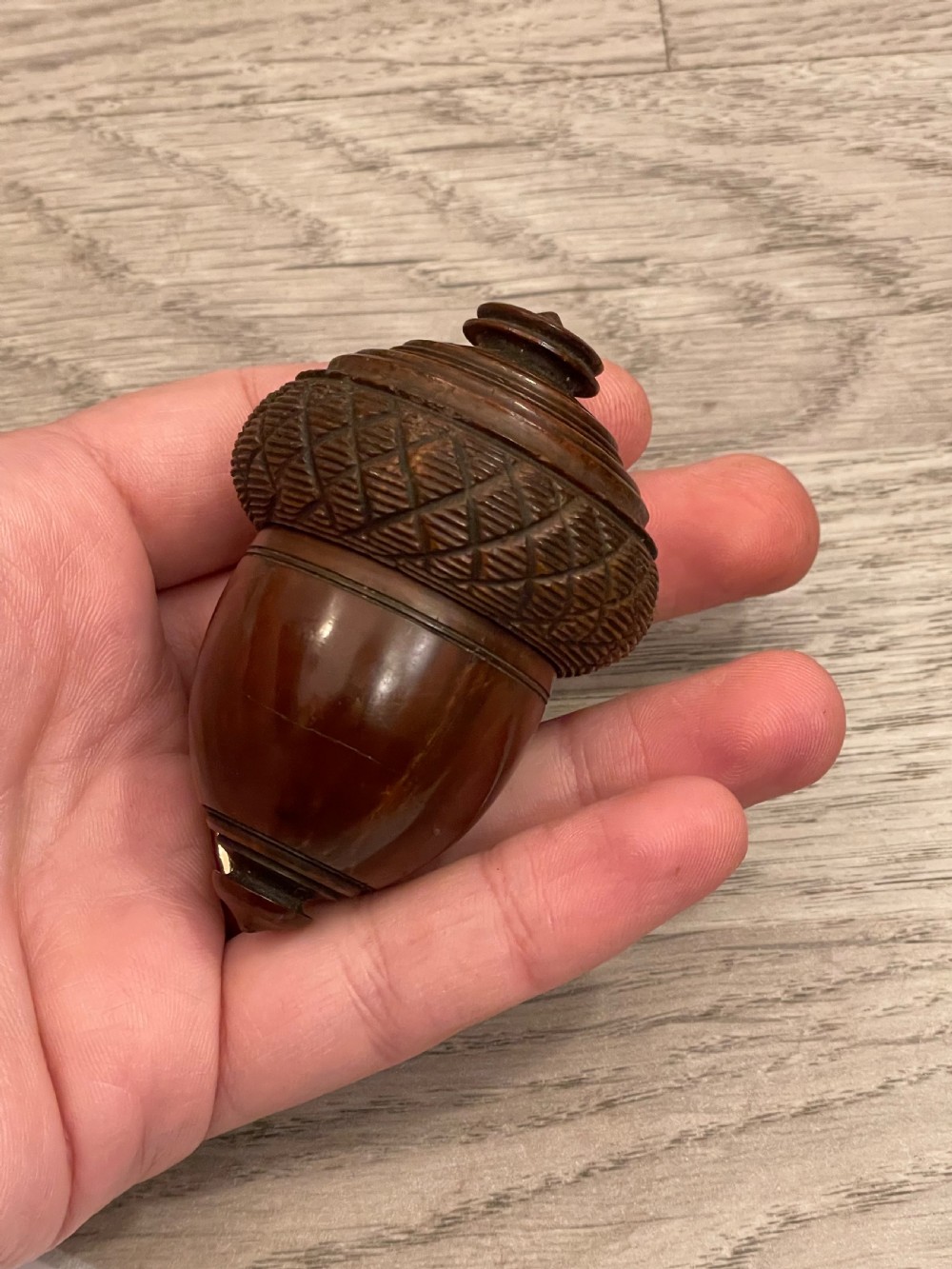 Georgian Coquilla Nutmeg Grater View IX