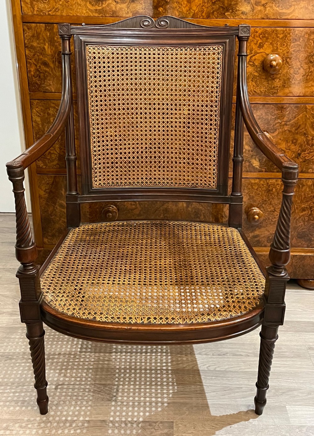 Late Victorian Mahogany Bergere Arm Chair View V