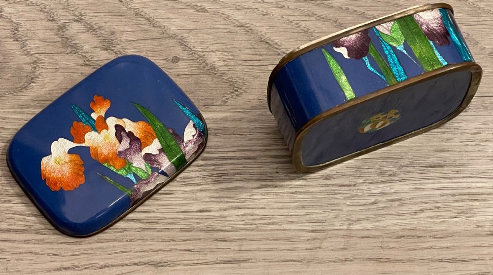 Japanese Cloisonné Box View V