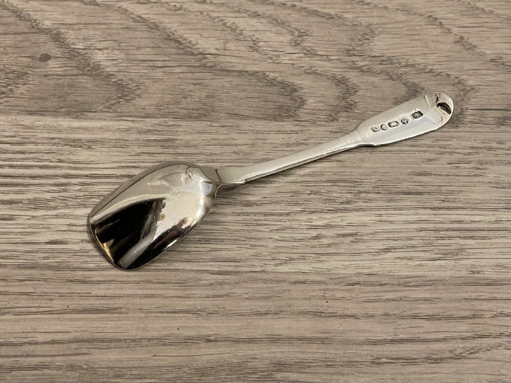 William IV Provincial Silver Caddy Spoon, Newcastle View III