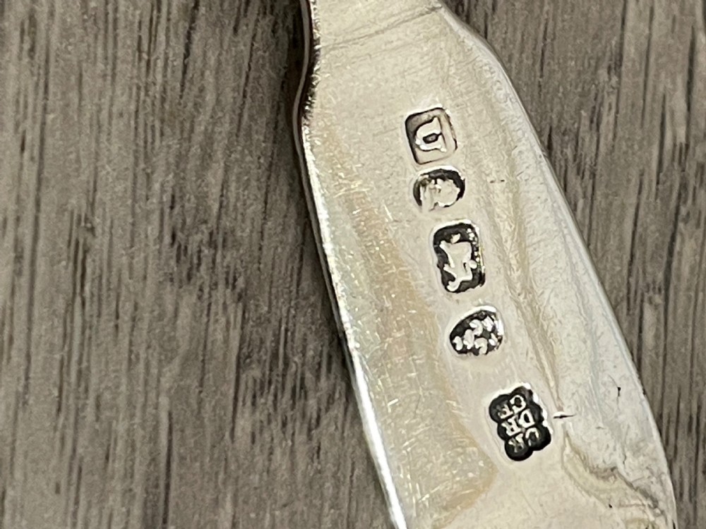 William IV Provincial Silver Caddy Spoon, Newcastle View IV