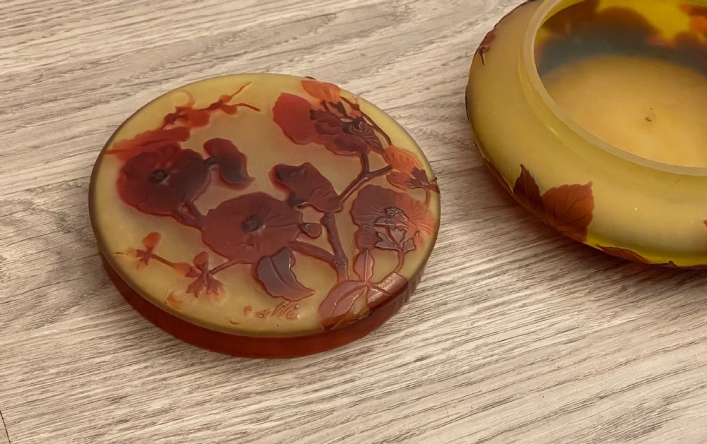 Emile Galle Cameo Glass Box View IV