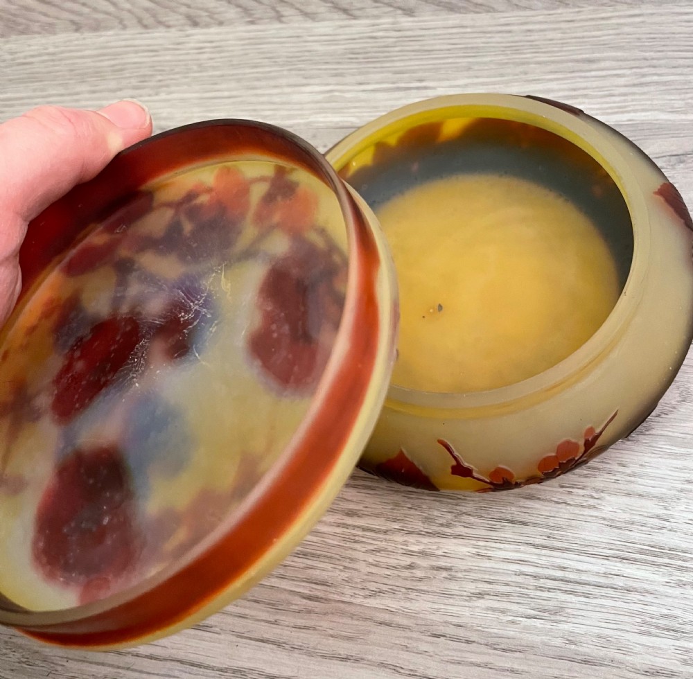 Emile Galle Cameo Glass Box View V