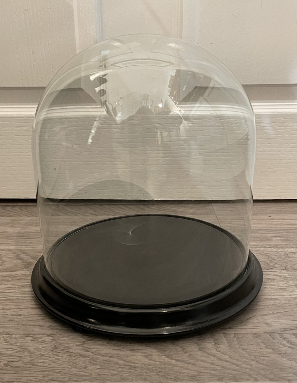 Victorian Glass Specimen Dome