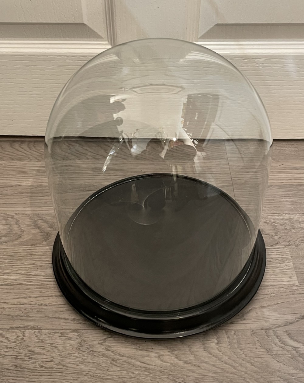 Victorian Glass Specimen Dome View II