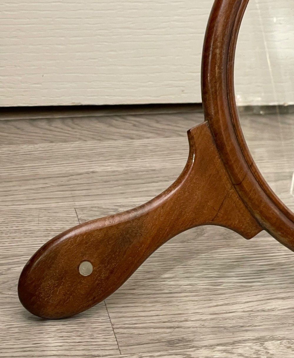 Very Large 19th Century Mahogany Gallery Magnifying Glass View III