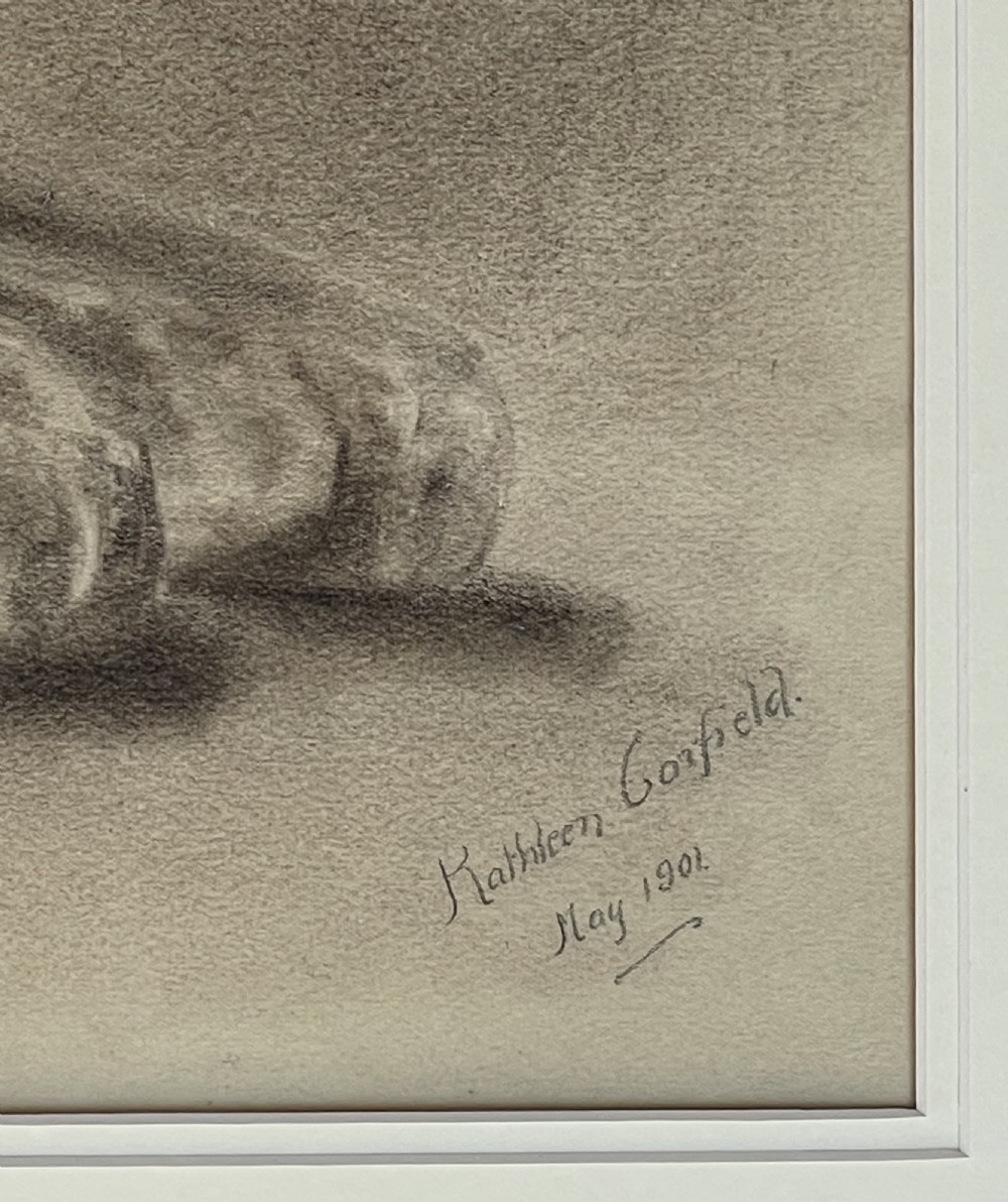Edwardian Pencil Study of a Tiger by Kathleen Corfield 1901 View IV