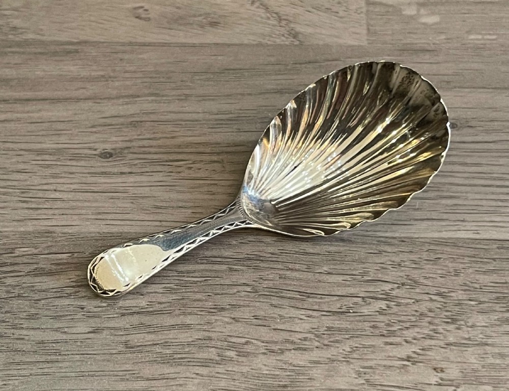 George III Silver Shell Caddy Spoon, 1781 View II