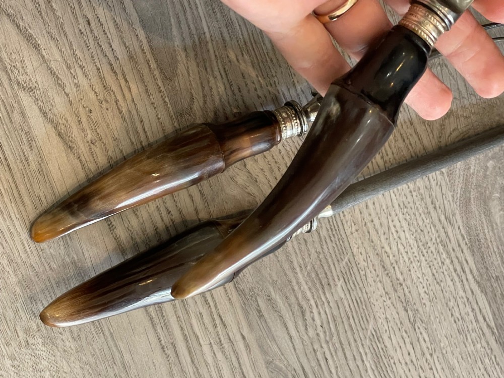 Edwardian Horn Carving Set in Fitted Case View V
