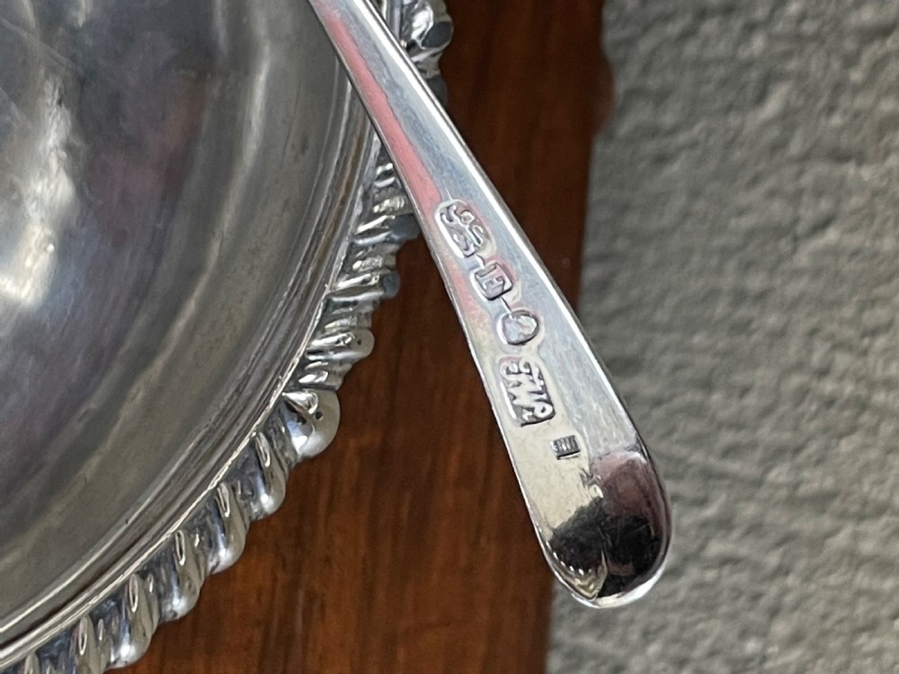 George III solid silver mustard pot  View VI
