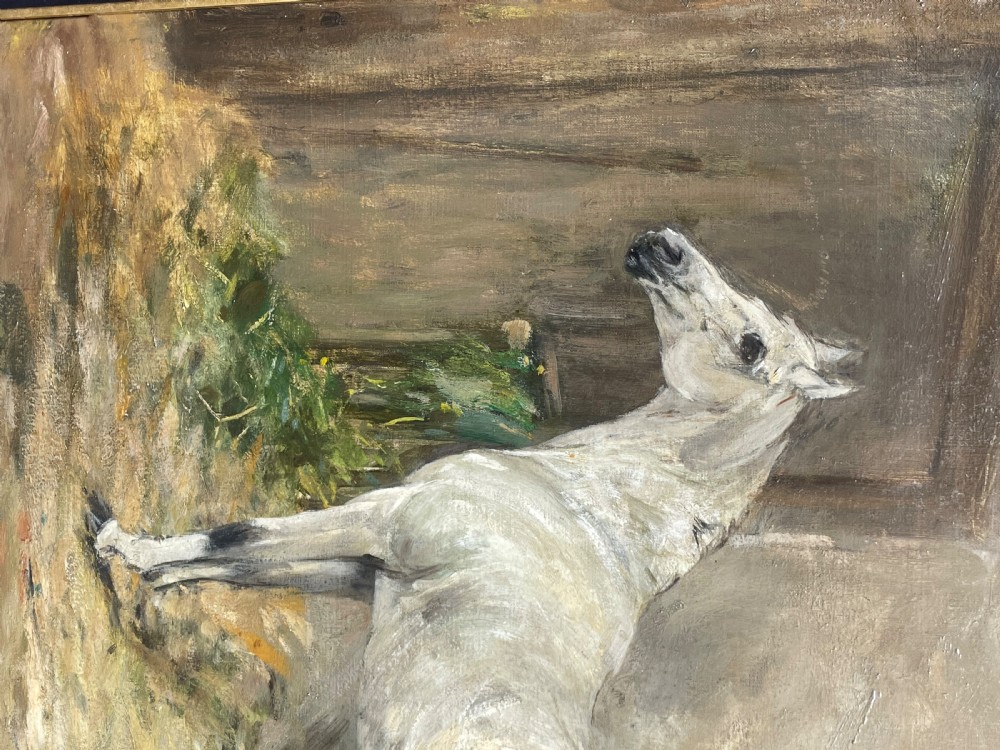 Portrait Study of a Grey Horse attributed Robert Alexander View III