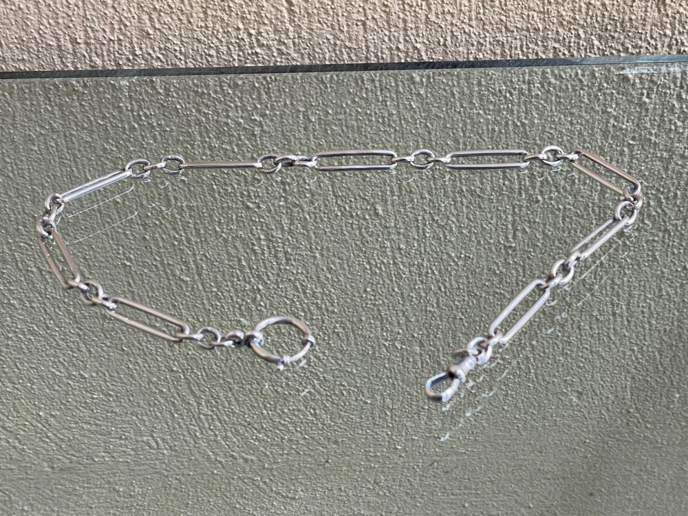 Edwardian Trombone Style Silver Albert Chain View IV