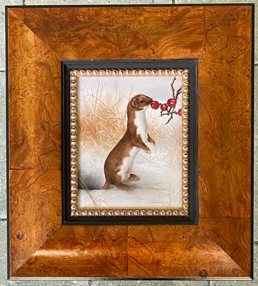 A detailed oil painting of a brown and white weasel standing amongst winter grasses reaching for red berries, displayed in a wide burr wood frame.
