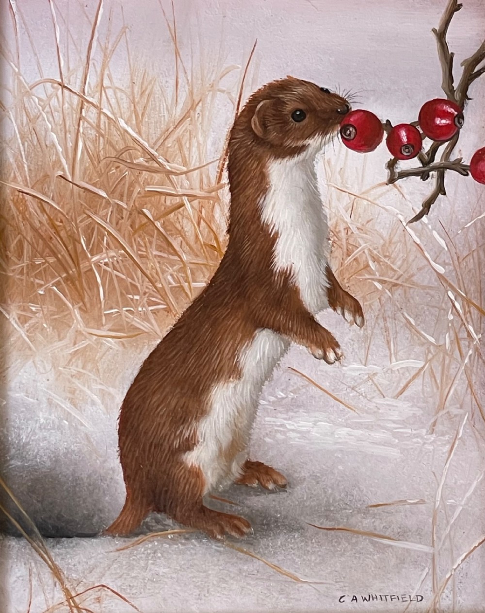A detailed oil painting of a brown and white weasel standing amongst winter grasses reaching for red berries, displayed in a wide burr wood frame. View II