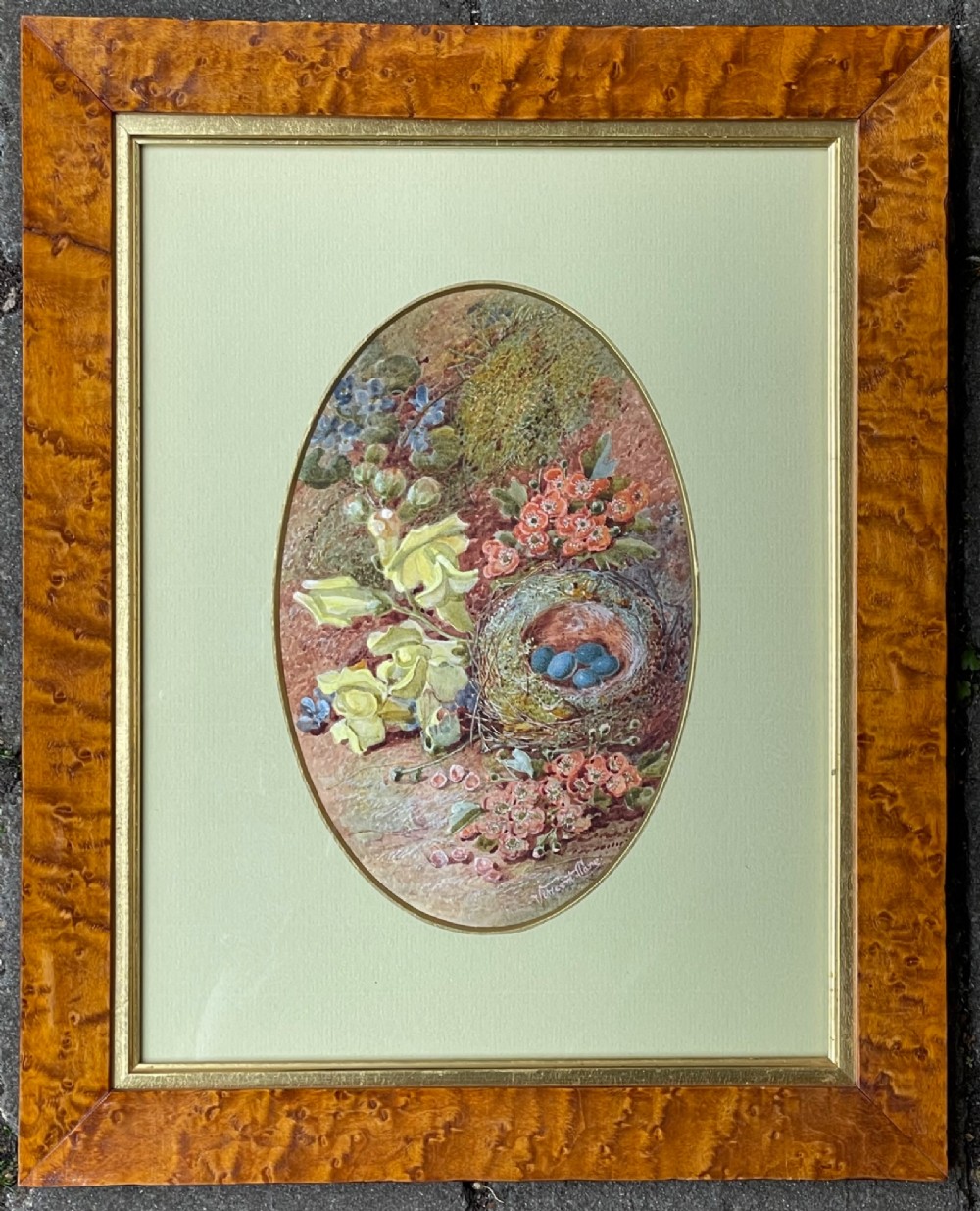 An oval watercolour painting of a birds nest containing four blue eggs surrounded by spring blossoms, set within a green mount and a burr maple frame.