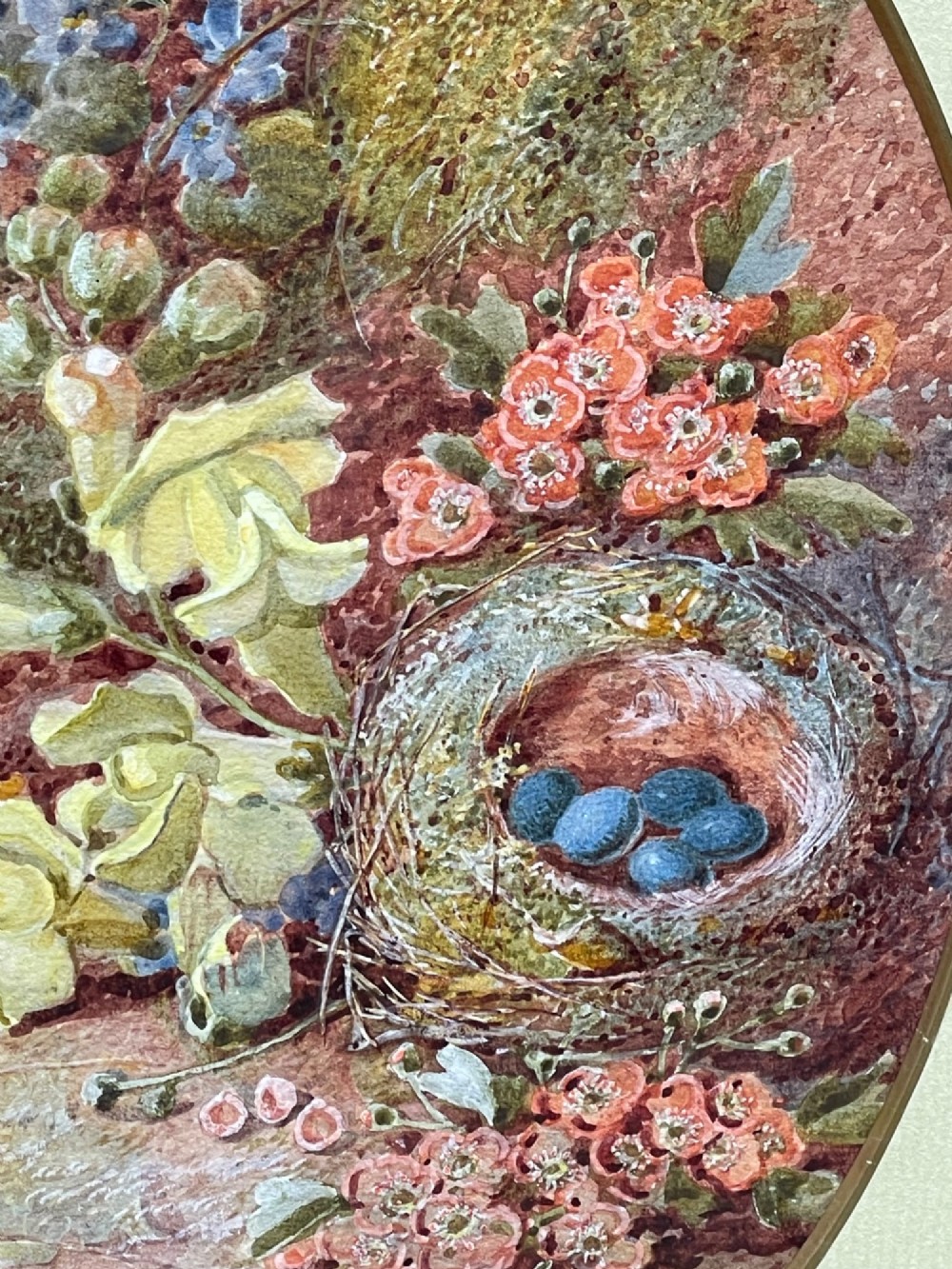 An oval watercolour painting of a birds nest containing four blue eggs surrounded by spring blossoms, set within a green mount and a burr maple frame. View IV