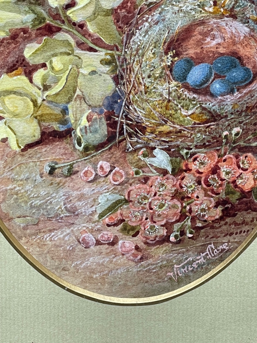 An oval watercolour painting of a birds nest containing four blue eggs surrounded by spring blossoms, set within a green mount and a burr maple frame. View V