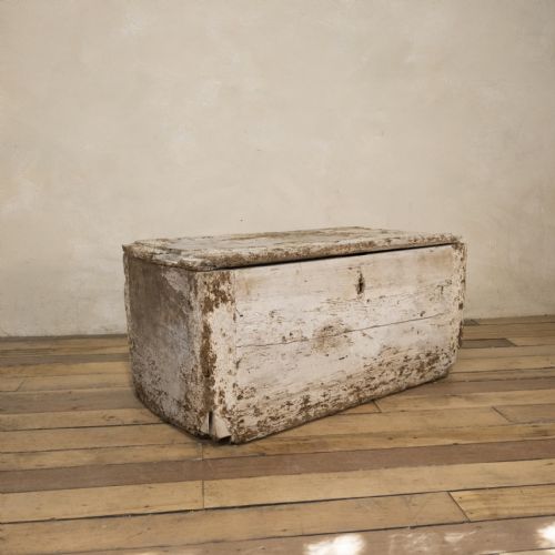 a 19th century rustic painted country house trunk - CATEGORY: ANTIQUE CHESTS - DATED 19TH CENTURY