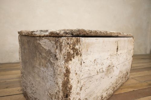 A 19TH CENTURY RUSTIC PAINTED COUNTRY HOUSE TRUNK - ADDITIONAL PHOTO 1